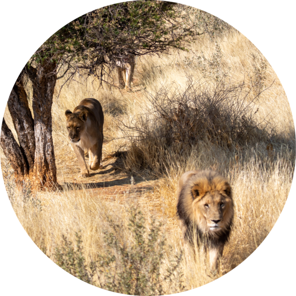 Go to the profile of Eline Brouwer