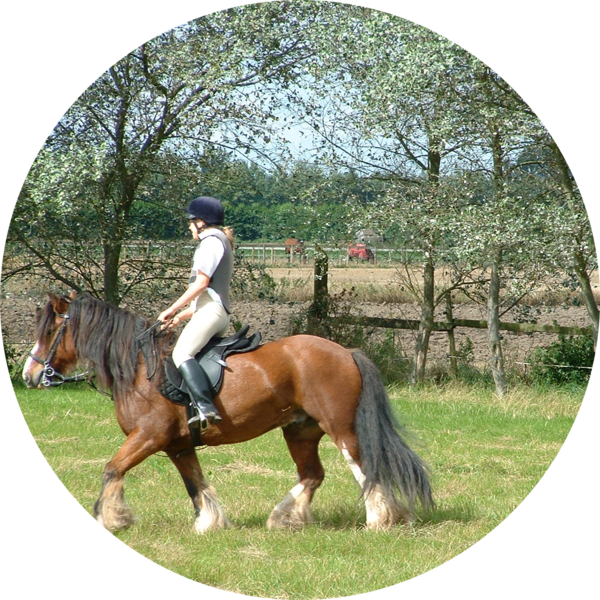 Go to the profile of Lizzie Bannister