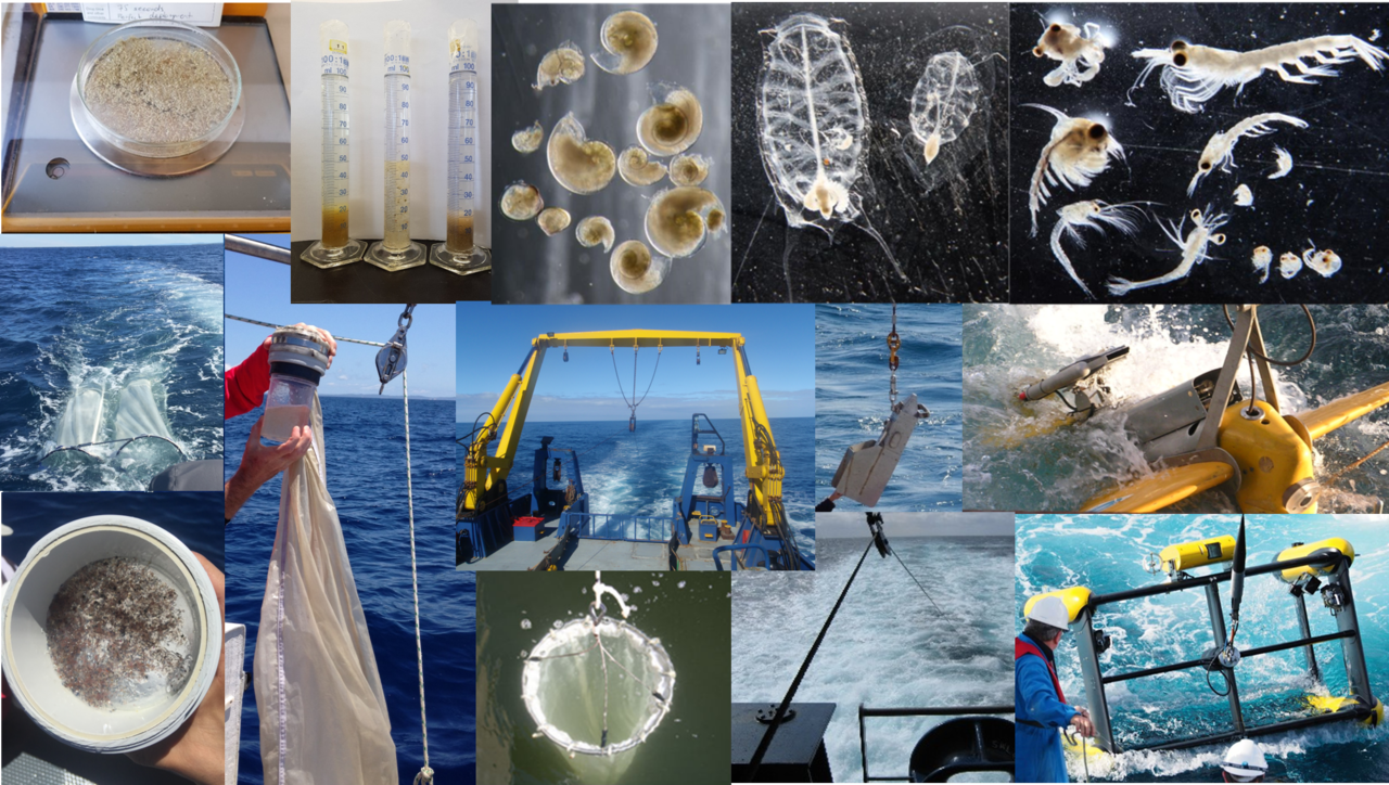Australian Zooplankton Biomass Database