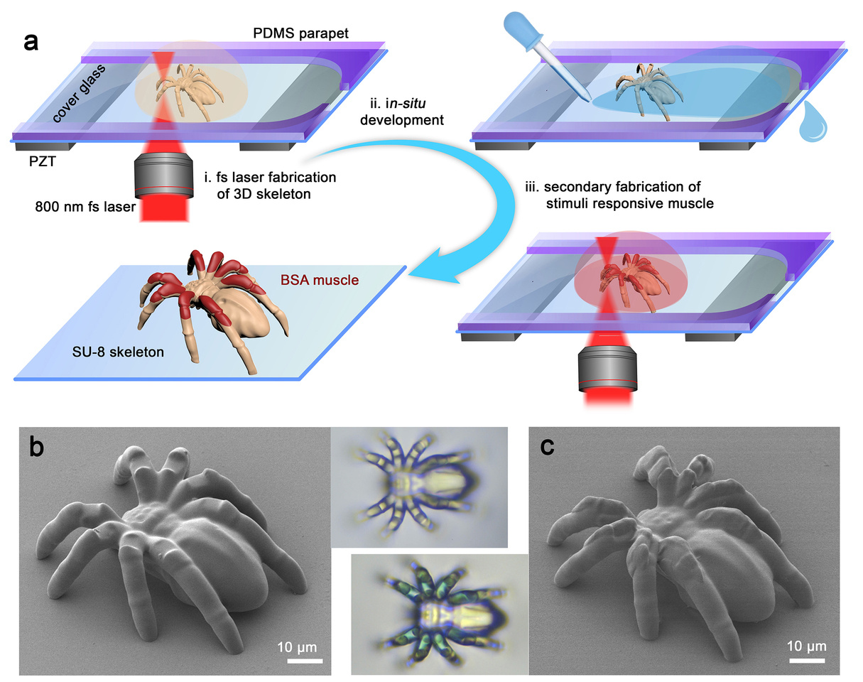 Artificial musculoskeletal systems at microscale enabled by femtosecond laser fabrication