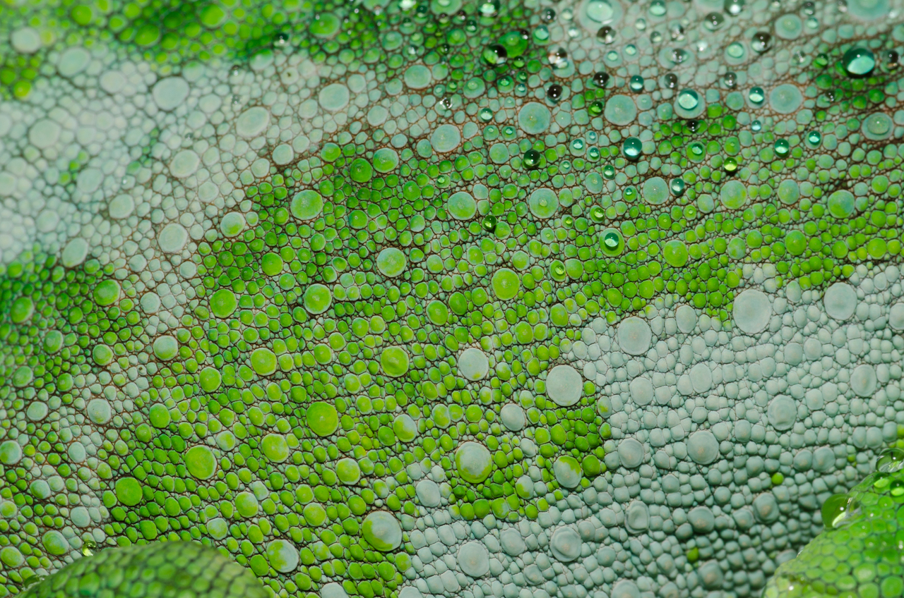 Social Science for Conservation Organisations