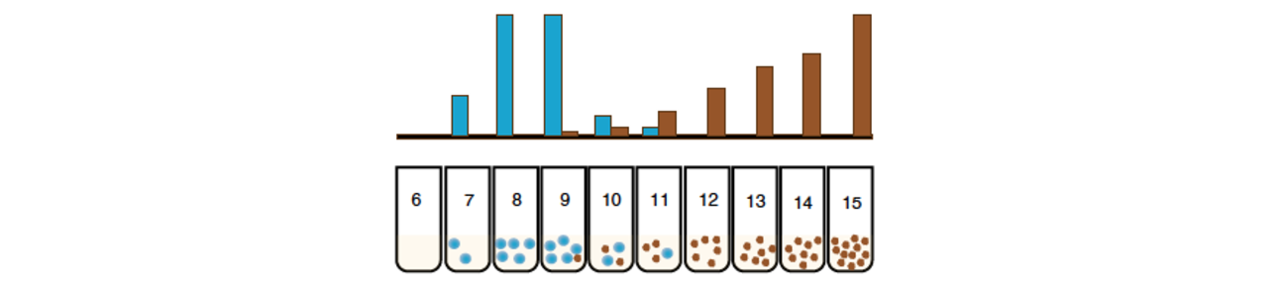 Neuron-Derived Extracellular Vesicles: Charting a New Course