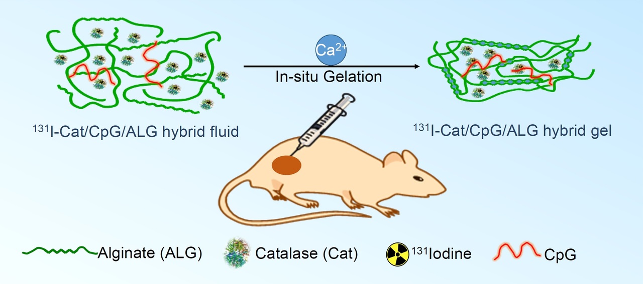 Biomaterials to boost radioisotope-immunotherapy for systemic cancer treatment