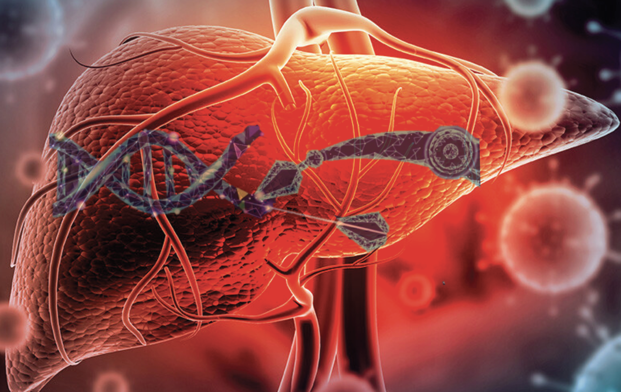 CRISPRing mini human livers 