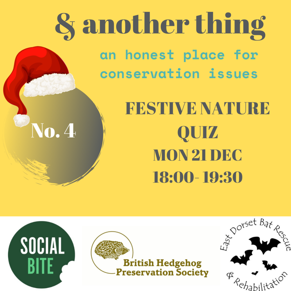 Festive Nature Quiz (win WildTeam UK 6 week training course!)