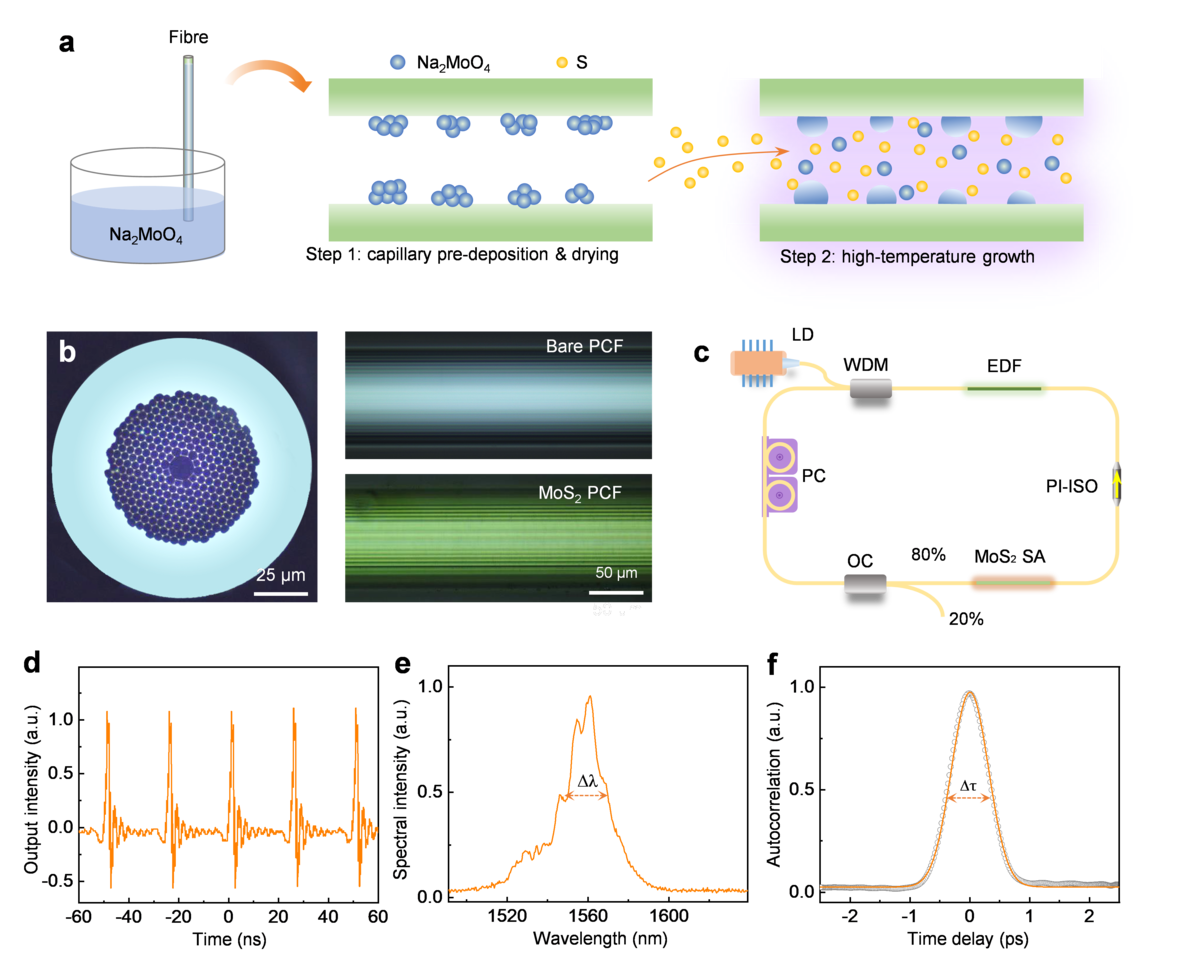 A new optical nonlinear media comes up---optical fibres with embedded two-dimensional materials