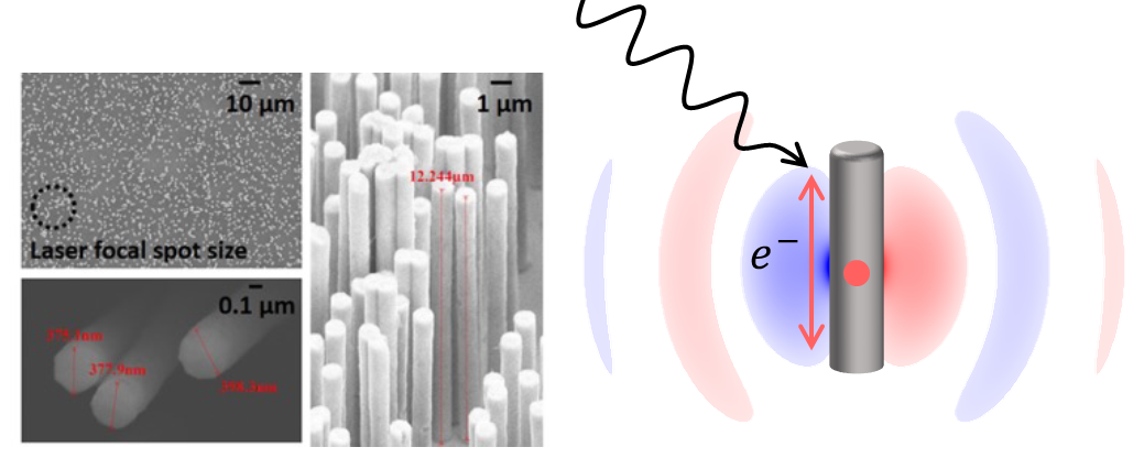Time evolution of nanowire arrays irradiated at relativistic intensities