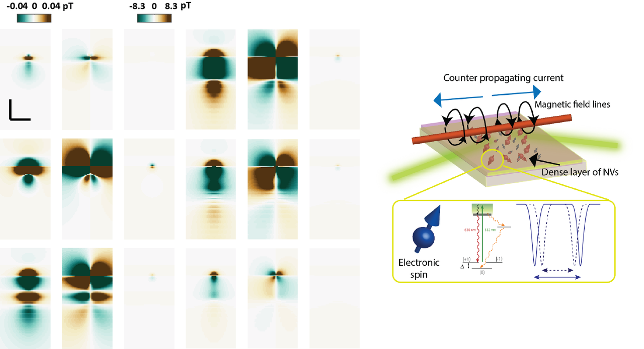 3D Reconstruction of neuronal activity using diamond nitrogen-vacancy magnetometry