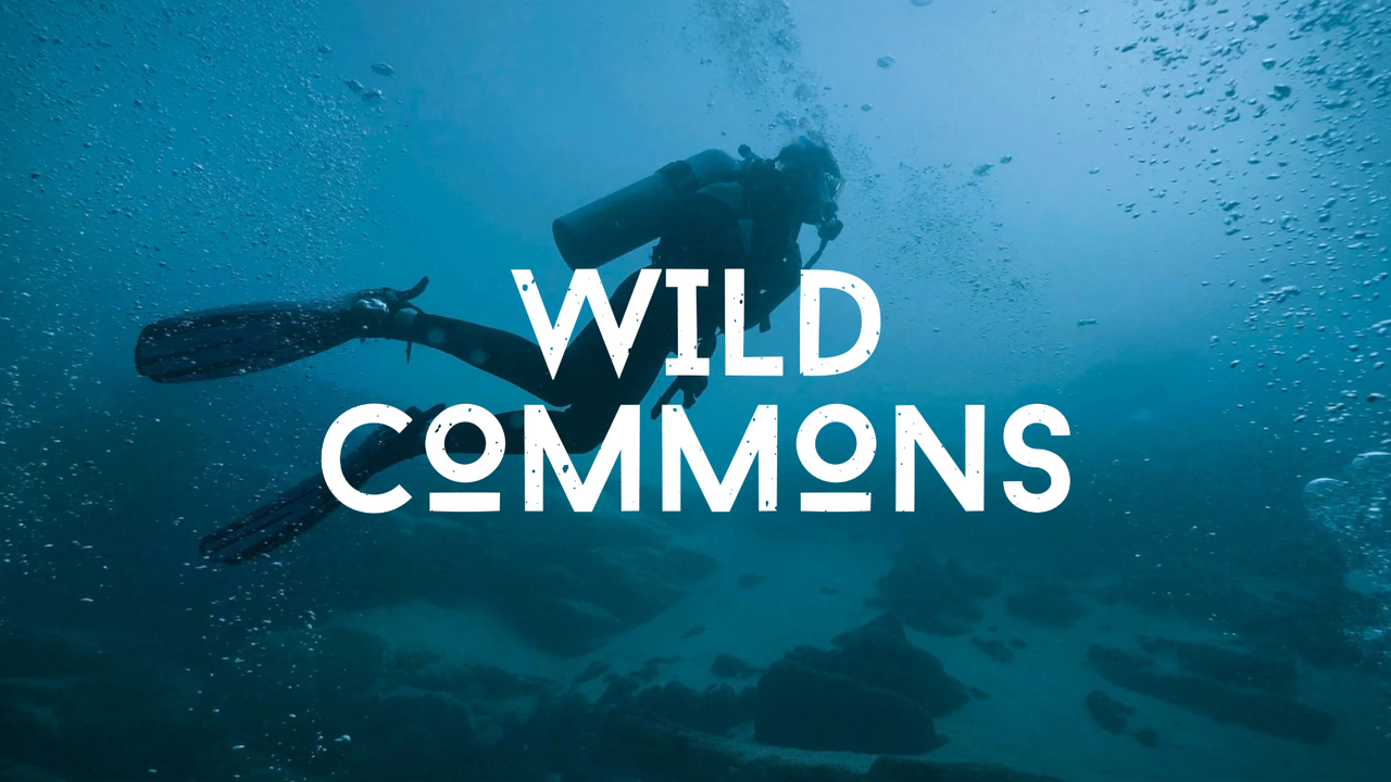 New nature and environmental YouTube channel