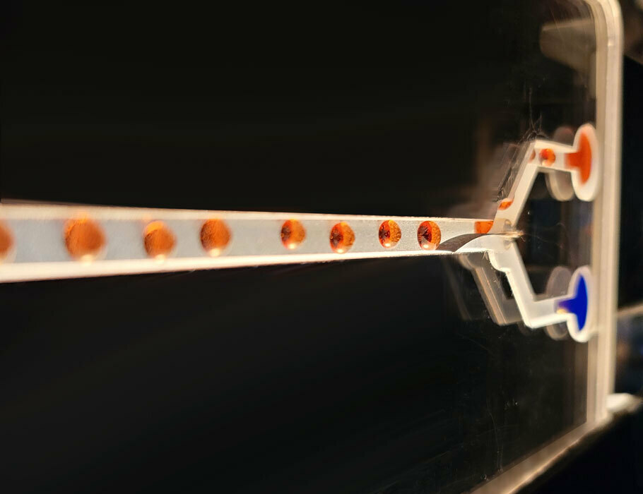 Common host for relaxed exchange of guest ions