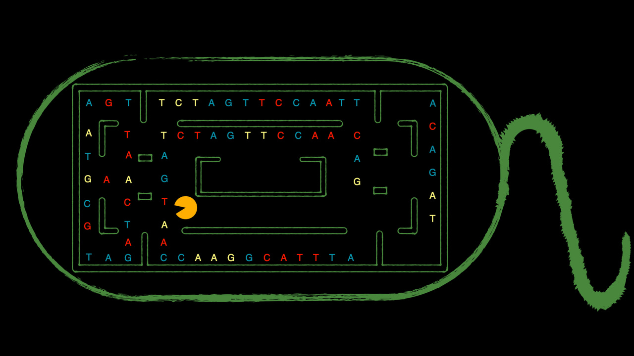 Harnessing the processive nuclease Cas3 for large deletions