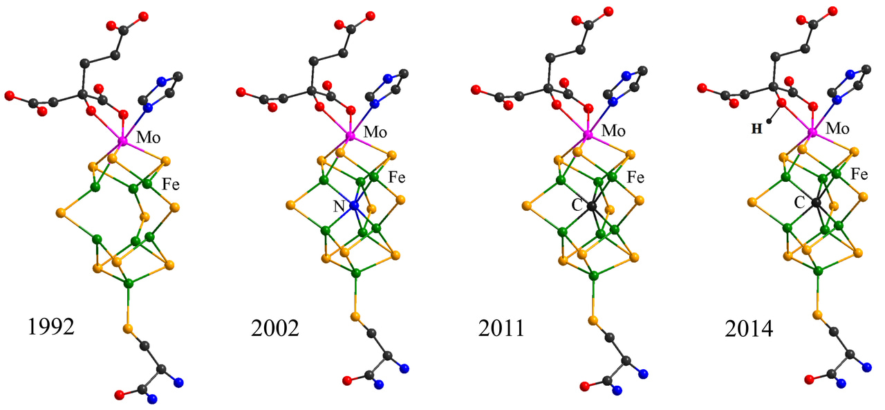 Assignment of protonated R-homocitrate in extracted FeMo-cofactor of nitrogenase via vibrational circular dichroism spectroscopy