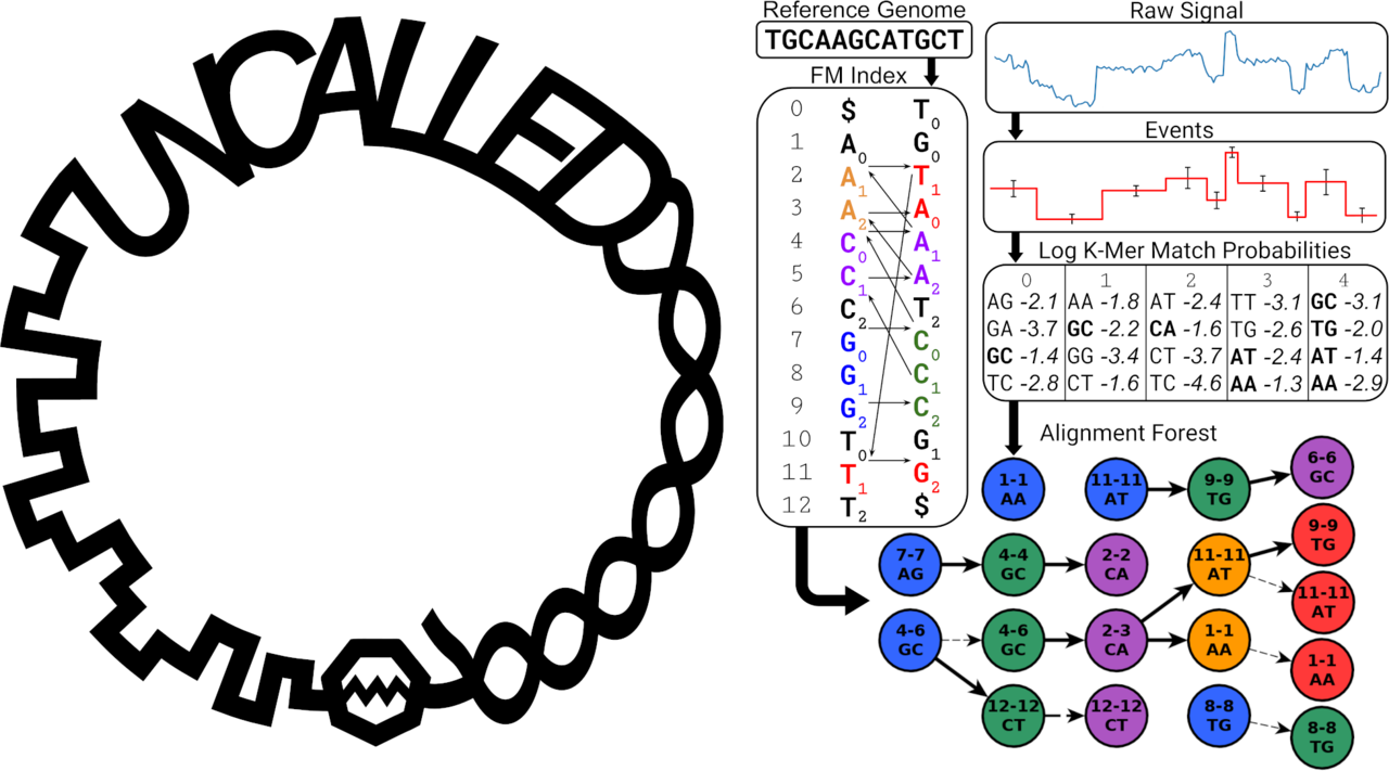 Software-based targeted nanopore sequencing with UNCALLED