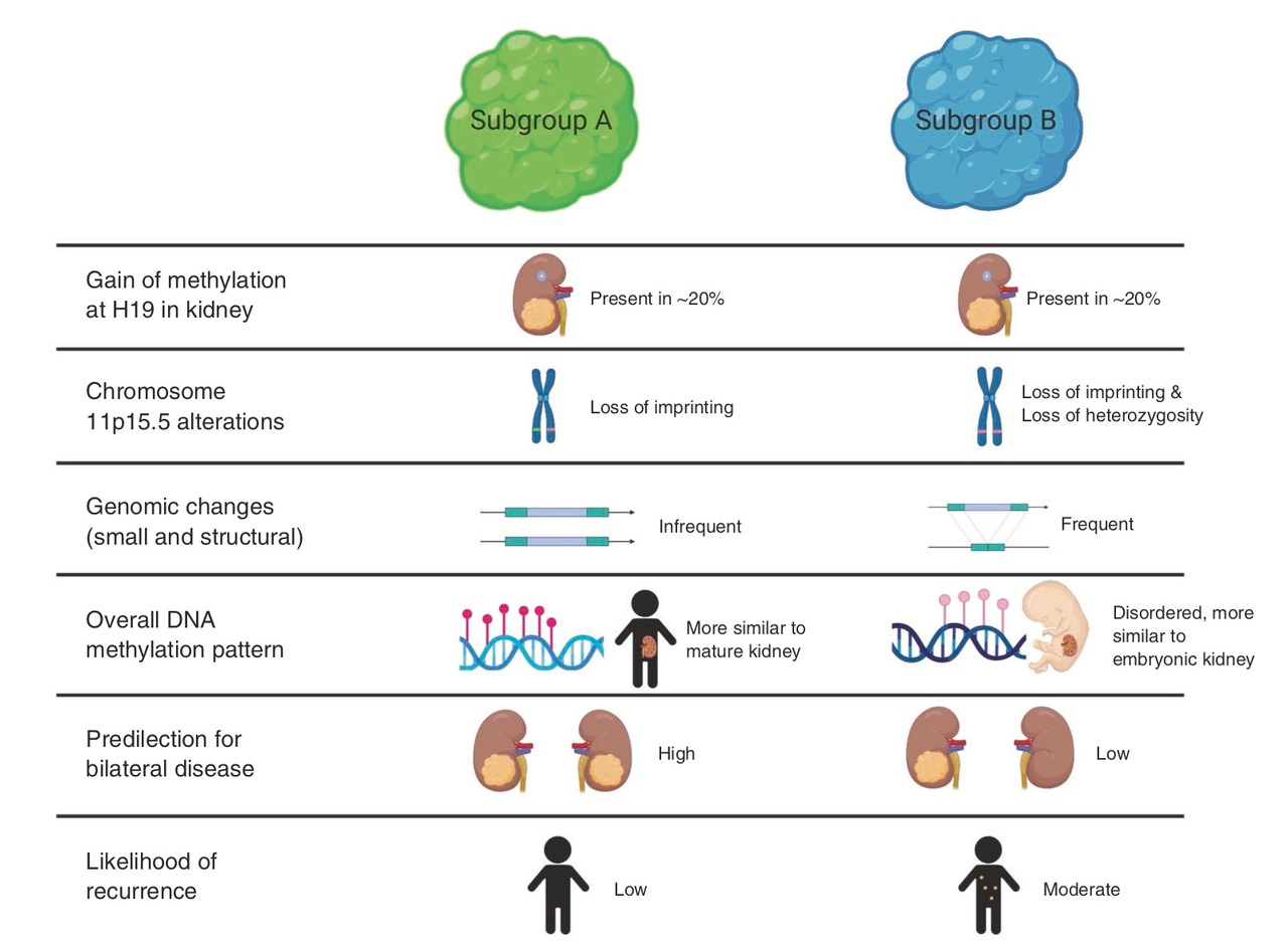 One more step in understanding a rare cancer.