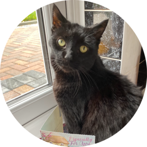 Go to the profile of Anjlee Shah