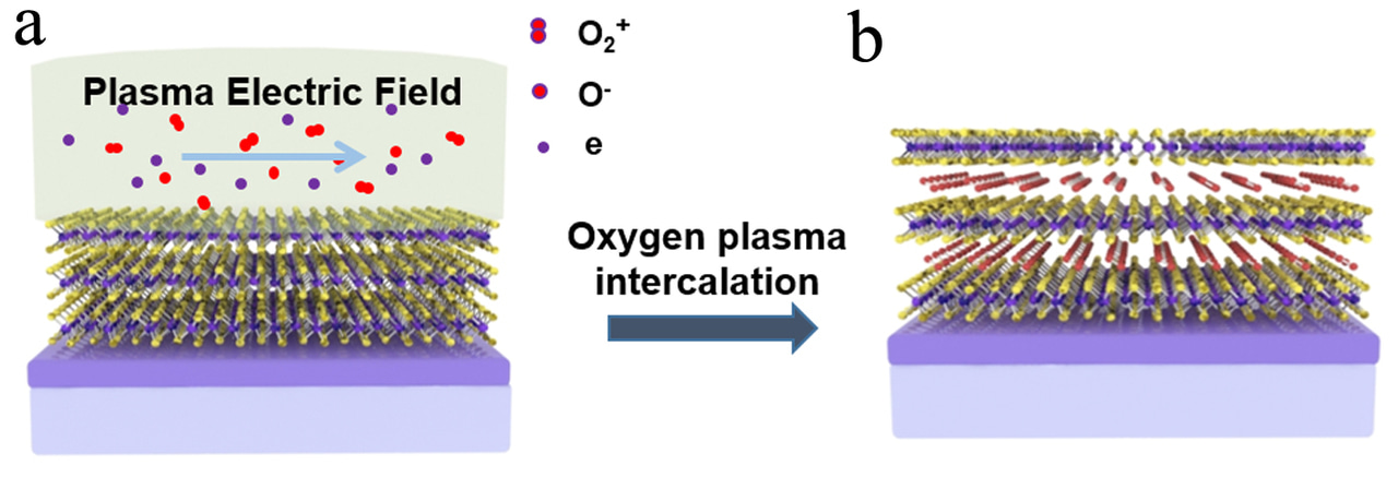 2D atomic crystal molecular superlattices by soft plasma intercalation