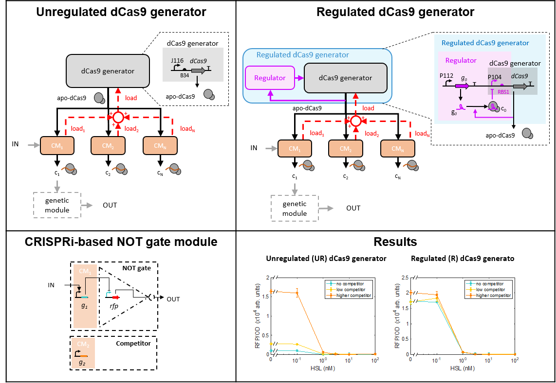 Neutralizing competition in CRISPRi genetic circuits