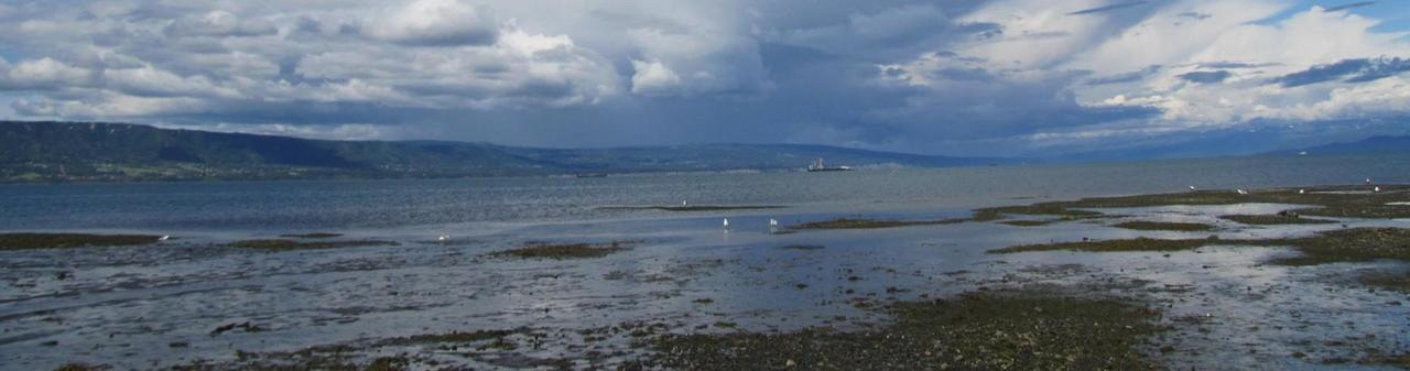 Would you know a win–win solution if you saw one?