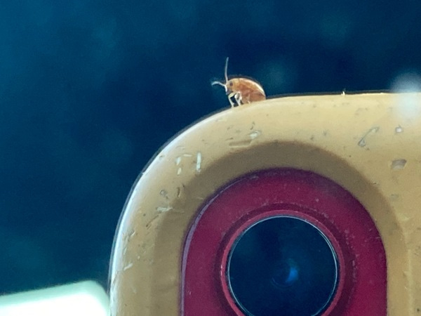 Go to the profile of Jennifer