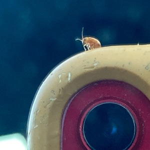 Go to the profile of Jennifer