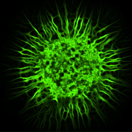 Image analysis of microbial communities with BiofilmQ