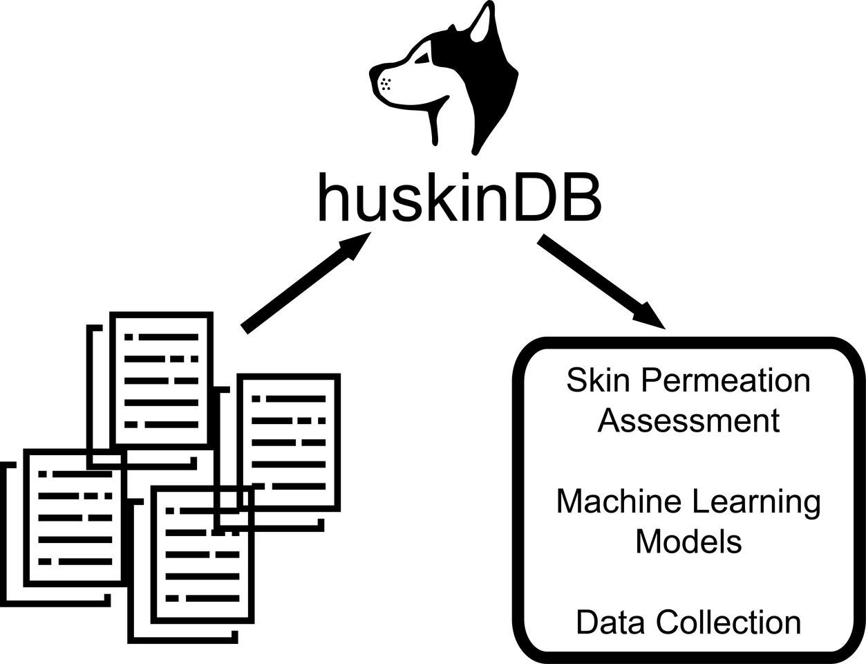 Creating huskinDB, a Database for Human Skin Permeation