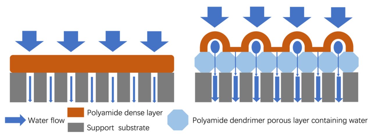 Asymmetric polyamide nanofilms with highly ordered nanovoids for water purification