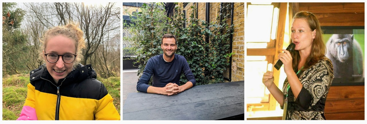 The Hive Podcast; Episode 3 - Views of the Conservation Sector