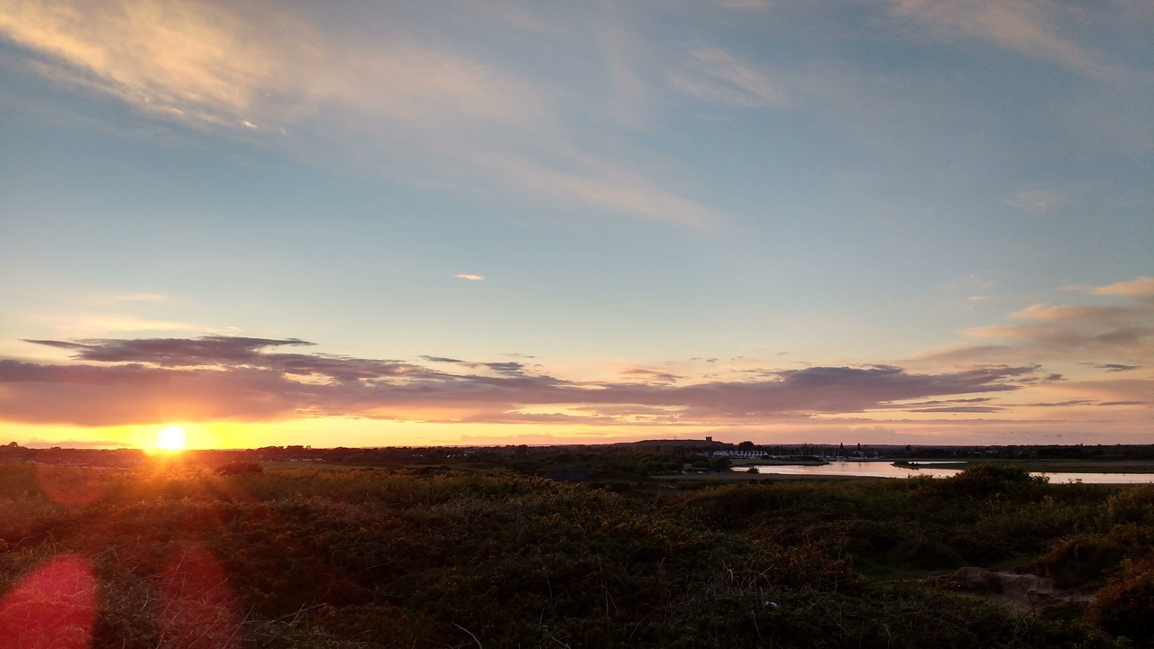 The Hive Podcast; The Entire Series