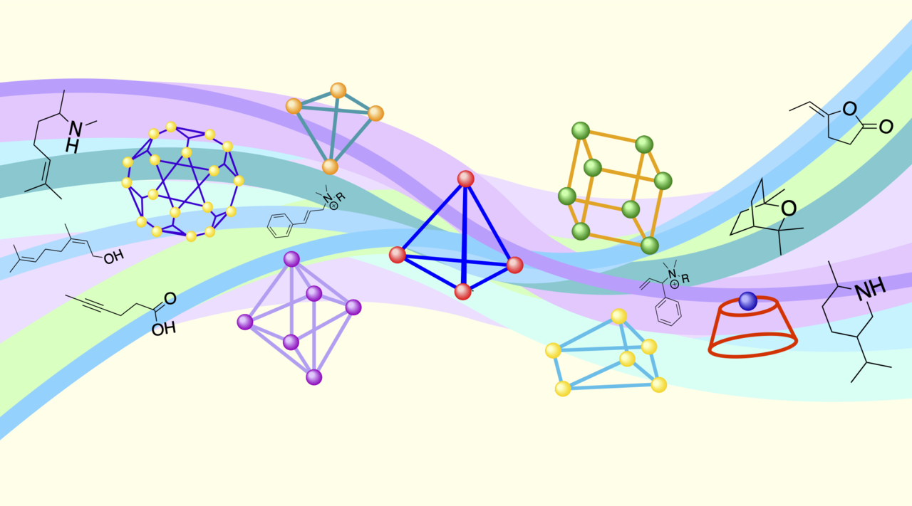 Advances in Supramolecular Host–Mediated Catalysis