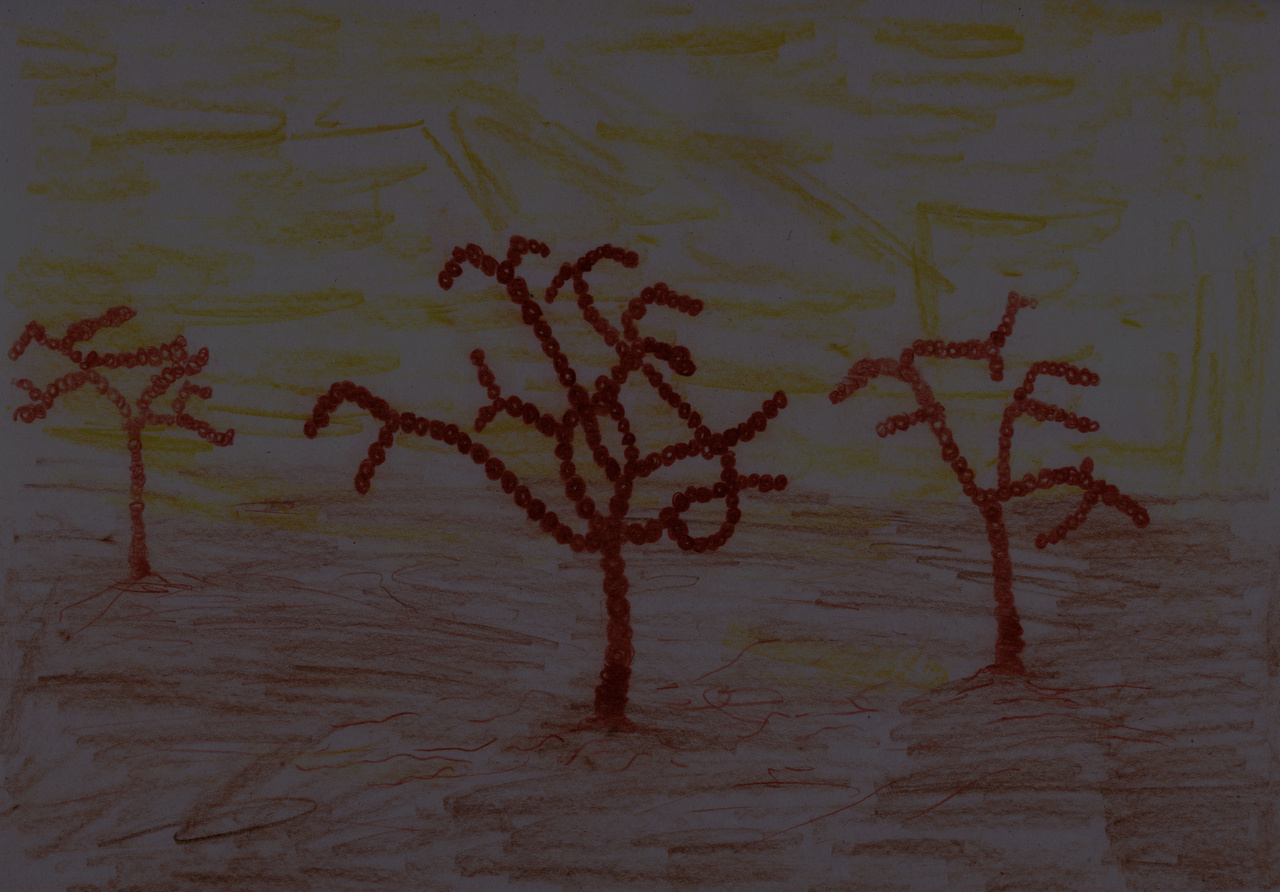 Acrasis kona: light version of aggregative multicellularity