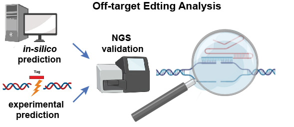 Towards standardizing nuclease off-target analysis for genome editing 