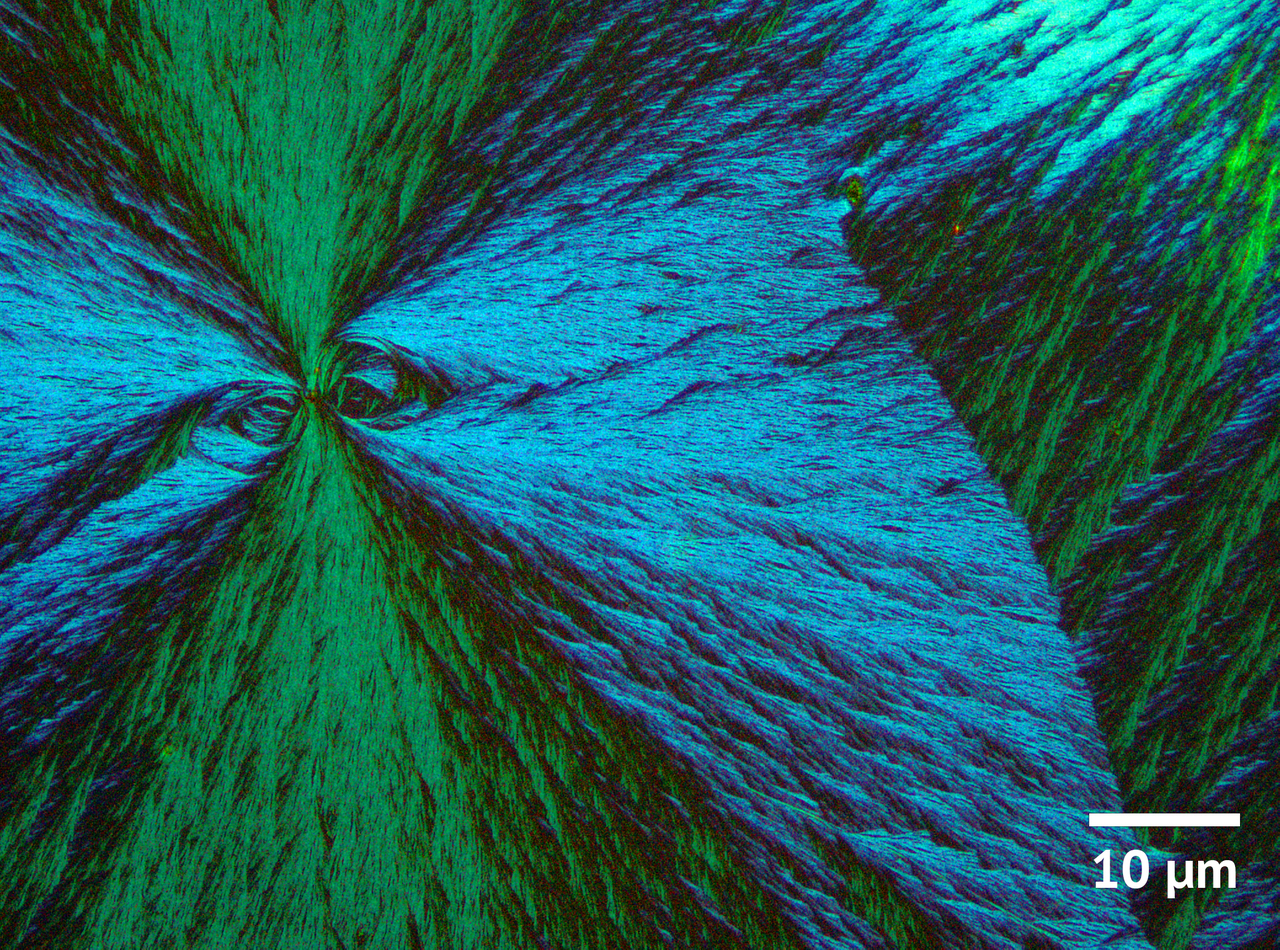 Identifying the origins of large chiroptical properties in π-conjugated polymer thin films
