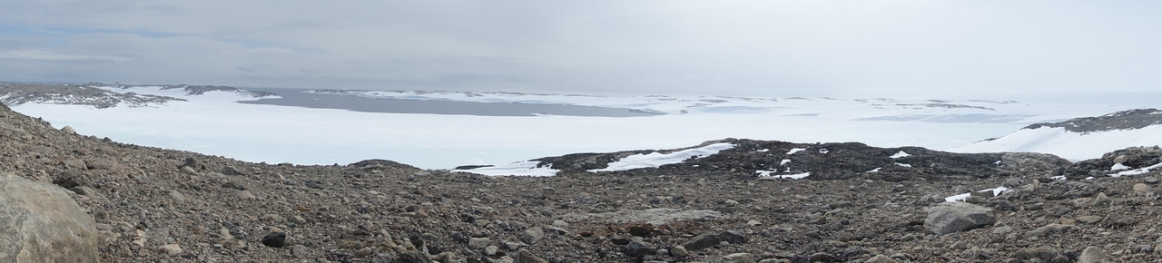 Ca. Eremiobacterota; an enigmatic, versatile bacterial phylum that dominates Antarctic soils.