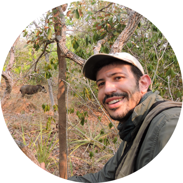 Go to the profile of Felipe Moreli Fantacini