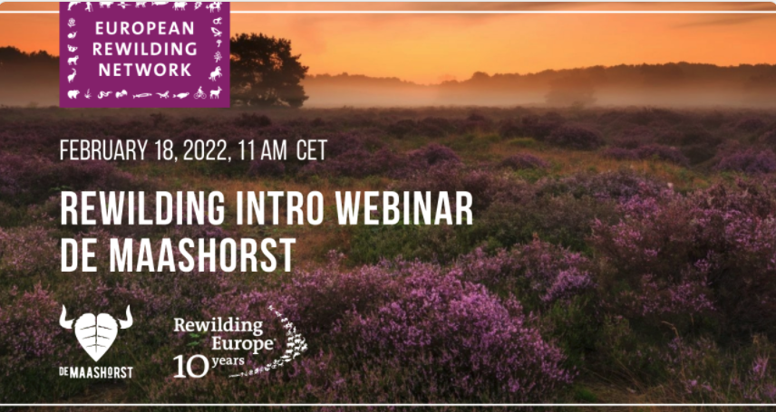 Rewilding Europe Making Europe a wilder place - 'Rewilding Intro' 