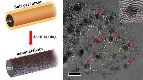 Insight into the Formation and Stabilization of Metallic Nanoparticles on Carbon Supports