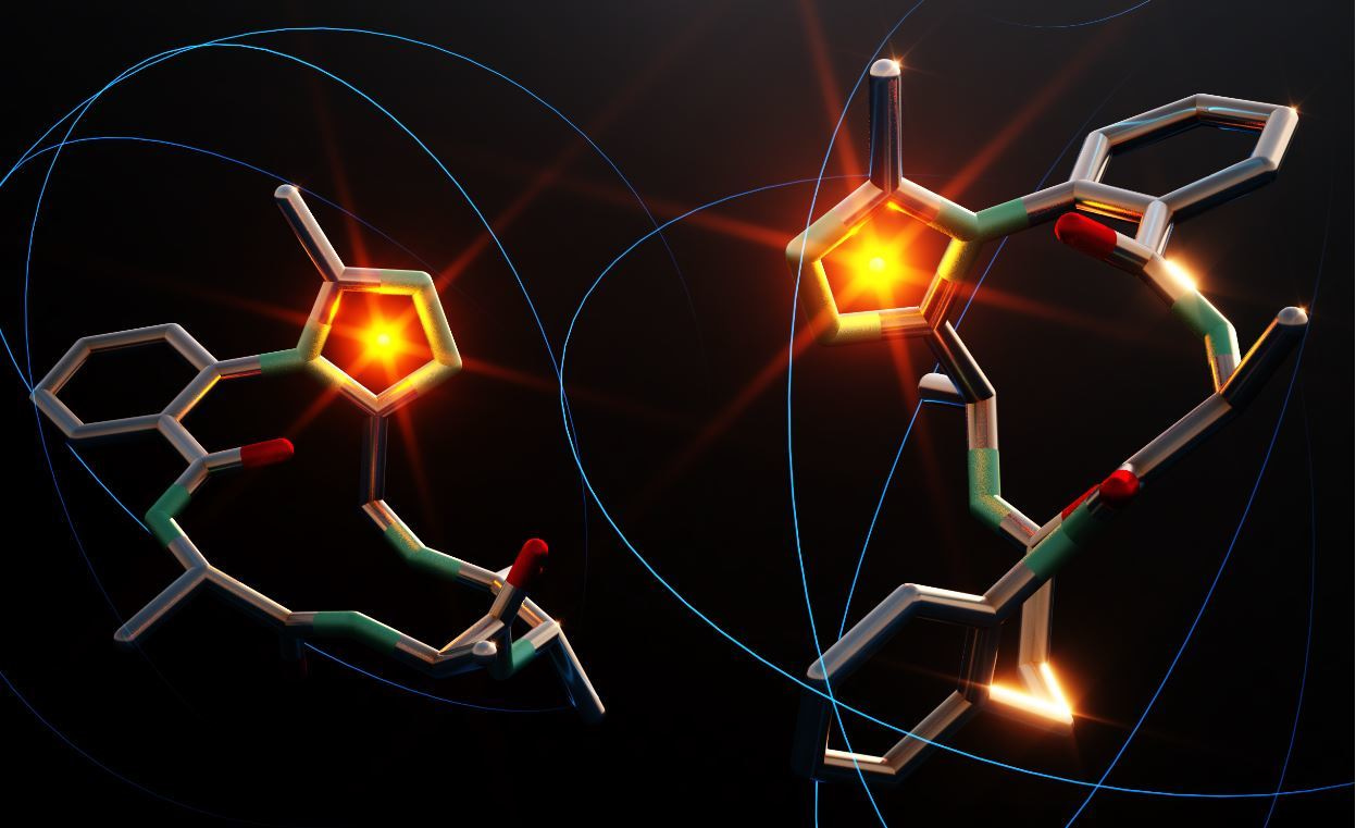 Forcing macrocycles into higher-energy conformations
