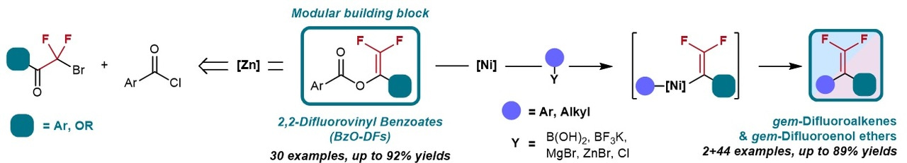 2,2-difluorovinyl benzoates for diverse synthesis of gem-difluoroenol ethers by Ni-catalyzed crosscoupling reactions