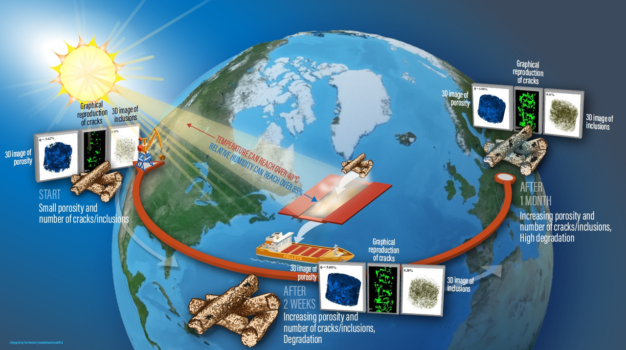 Microstructural degradation during the storage of biomass pellets 