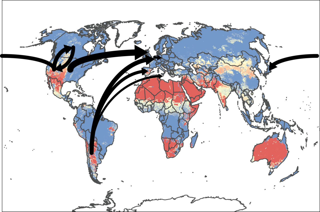 Global Perspectives on Energy and Water: From AGU Discussions to International Collaboration