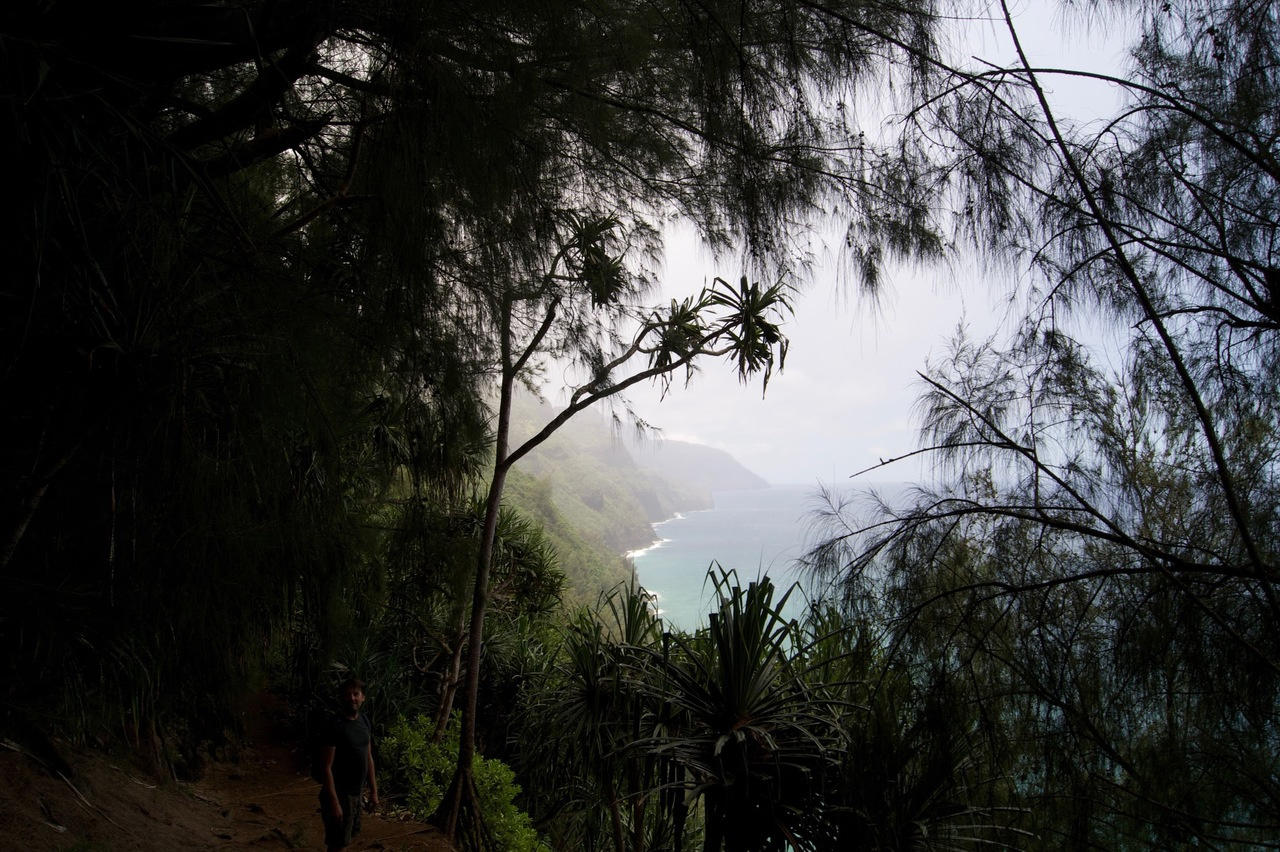 A mute-point: genomic hotspots underlie parallel song-loss in crickets