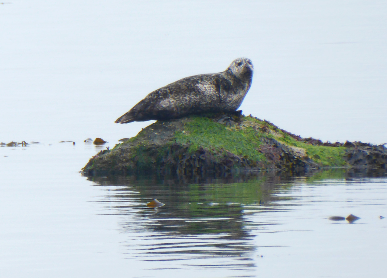 Learning by Exploring