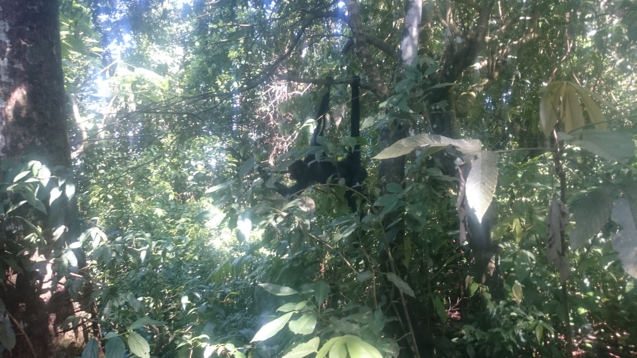 Hello, nice to meet you all...