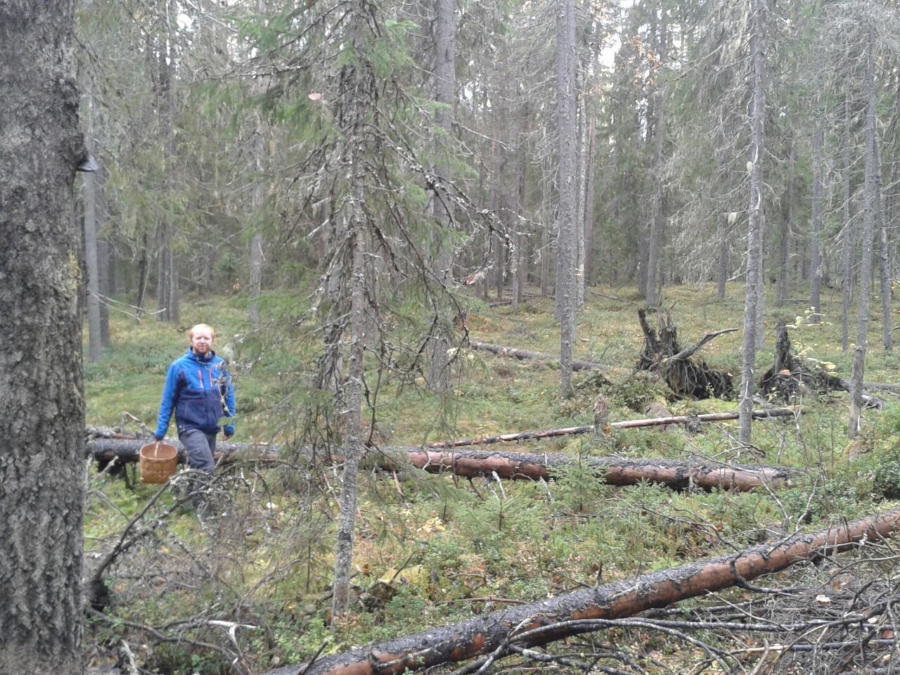 The Fungal Matryoshka: fungal sporocarps house diverse and host-specific communities of fungicolous fungi. 