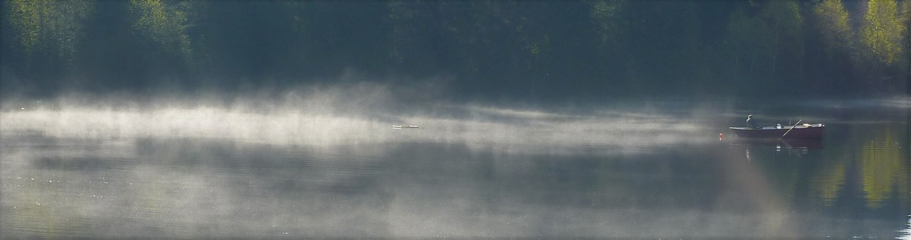 Microbial drama in four acts: Recovery of freshwater microbial communities after extreme rain events is mediated by cyclic succession