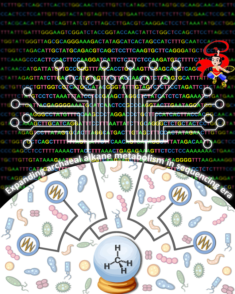 Expanding anaerobic alkane metabolism in the domain of Archaea