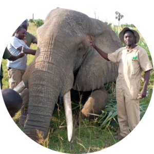 Go to the profile of DR WATUWA JAMES