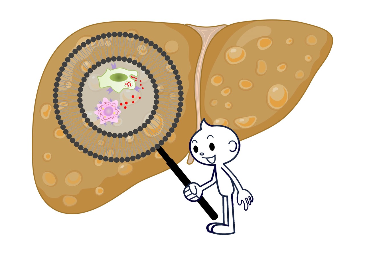 Nanotechnology-guided discovery of a novel anti-fibrosis mechanism