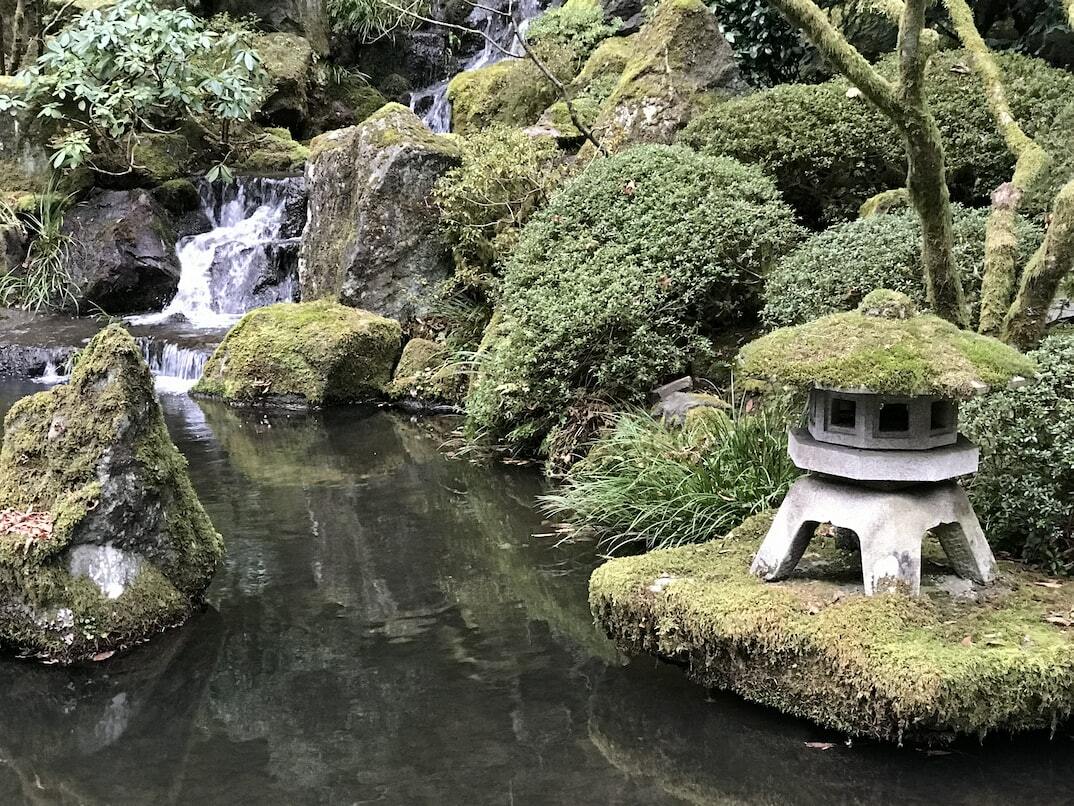 From Project Management to Nature Conservation: A Journey of Learning with Muki